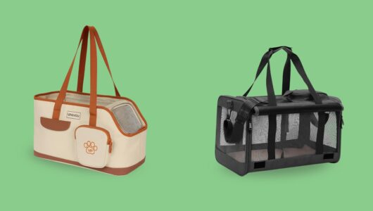 Escolha a melhor bolsa de transporte pet para levar seu pet com segurança e conforto