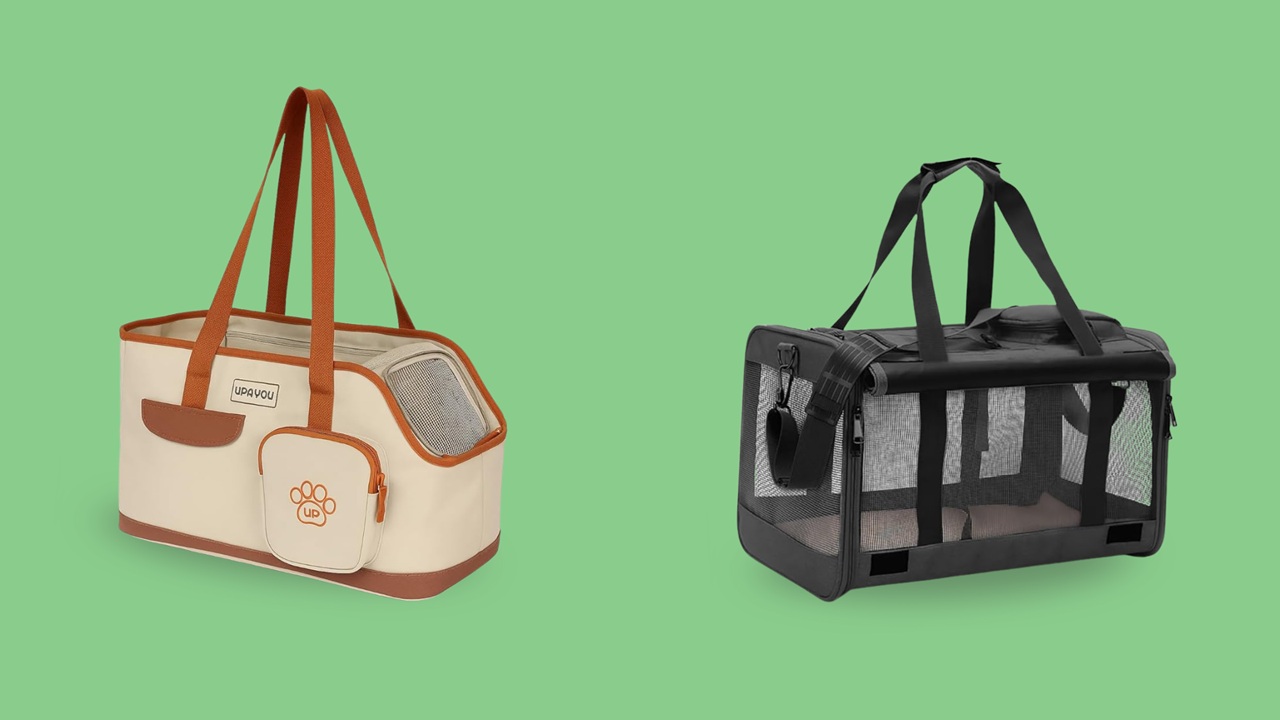 Escolha a melhor bolsa de transporte pet para levar seu pet com segurança e conforto