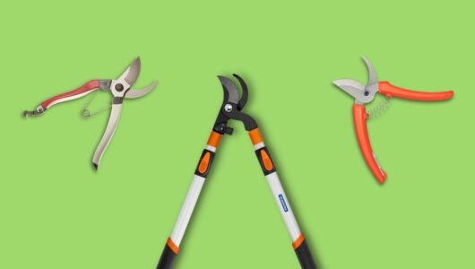 Para jardins sempre bem cuidados, a tesoura de poda certa faz toda a diferença