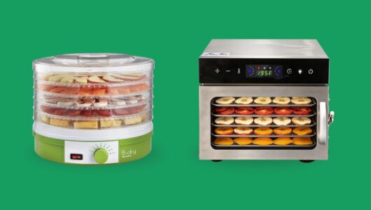10 modelos de desidratador de alimentos